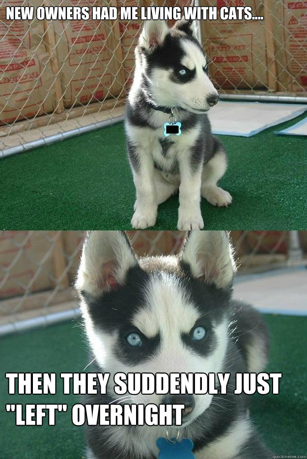 New owners had me living with cats.... Then they suddendly just 