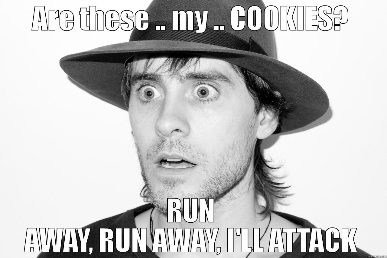 ARE THESE .. MY .. COOKIES? RUN AWAY, RUN AWAY, I'LL ATTACK Misc