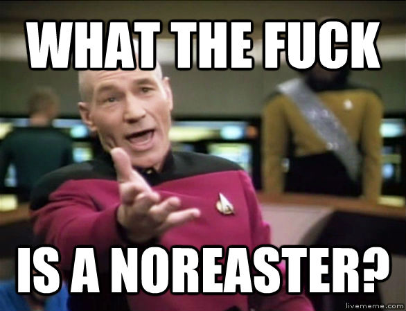 WHAT THE FUCK IS A NOREASTER?  untitled meme
