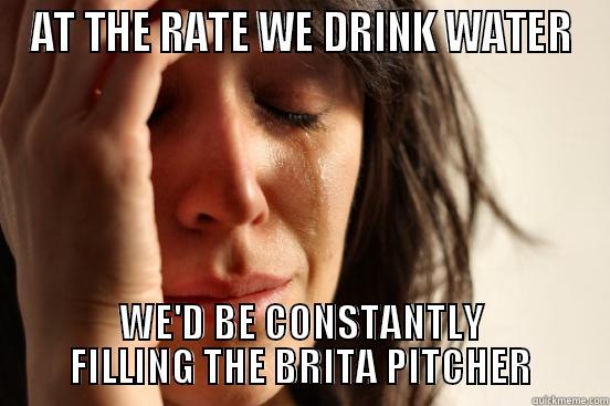 AT THE RATE WE DRINK WATER WE'D BE CONSTANTLY FILLING THE BRITA PITCHER First World Problems