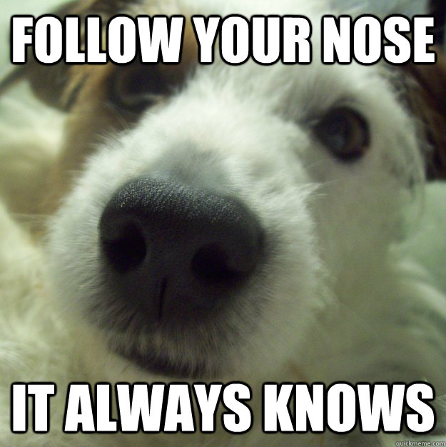follow your nose it always knows  Whos Toucan Sam