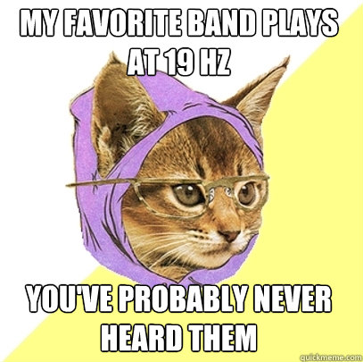 My favorite band plays at 19 Hz You've probably never heard them  Hipster Kitty