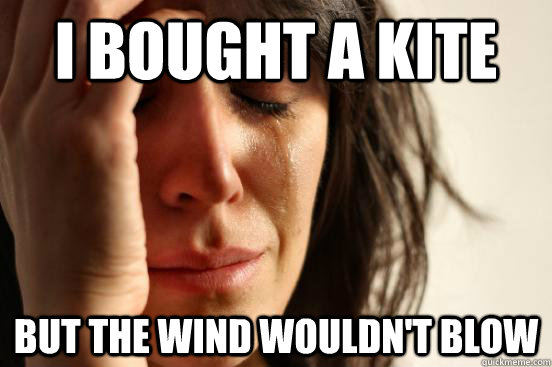 I bought a kite but the wind wouldn't blow  First World Problems