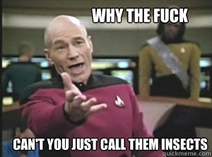 Why the fuck can't you just call them insects  Annoyed Picard