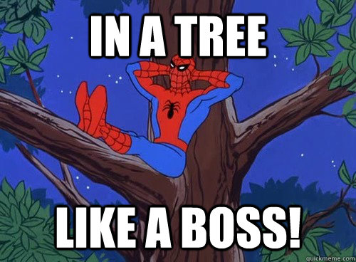 in a tree like a boss!  Spider man