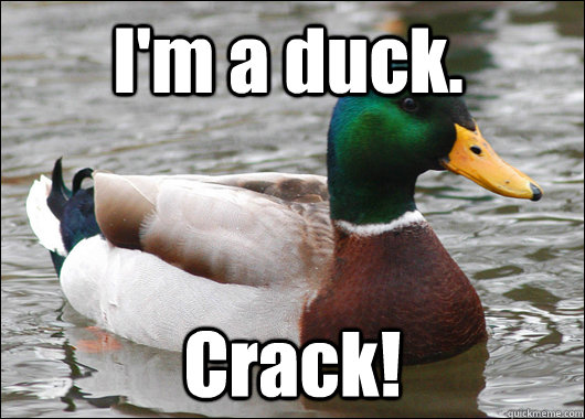 I'm a duck. Crack!  Actual Advice Mallard
