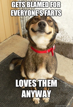 gets blamed for everyone's farts loves them anyway  Good Dog Greg