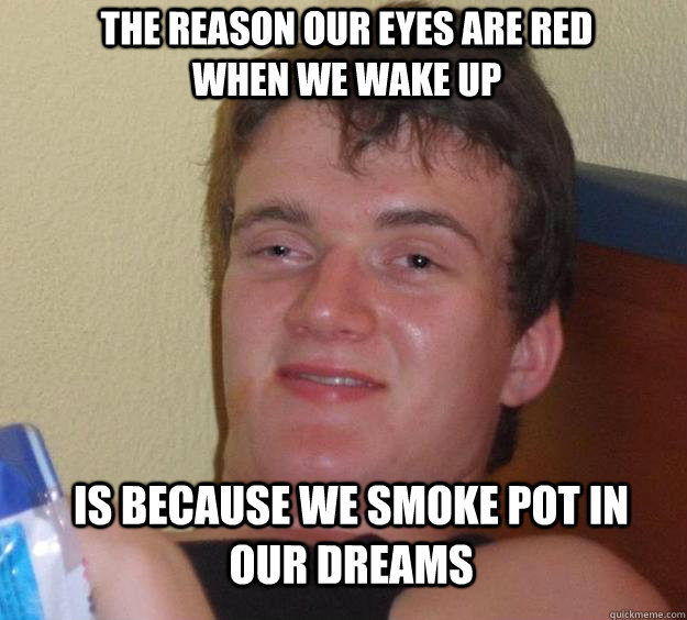 The reason our eyes are red when we wake up Is because we smoke pot in our dreams  10 Guy