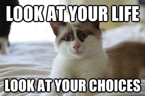 Look at your life Look at your choices  Sad cat