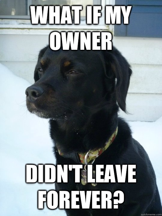 What if my owner didn't leave forever?  Philosophical Puppy