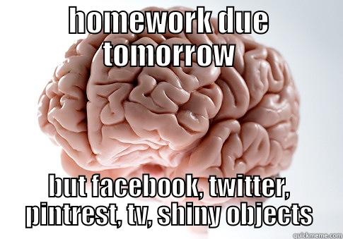 HOMEWORK DUE TOMORROW BUT FACEBOOK, TWITTER, PINTREST, TV, SHINY OBJECTS Scumbag Brain