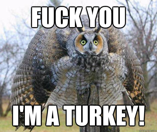 Fuck You I'm a Turkey! - Fuck You I'm a Turkey!  Misc