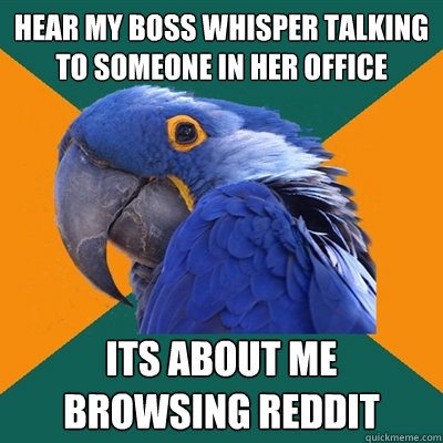 Hear my boss whisper talking to someone in her office its about me browsing reddit  Paranoid Parrot