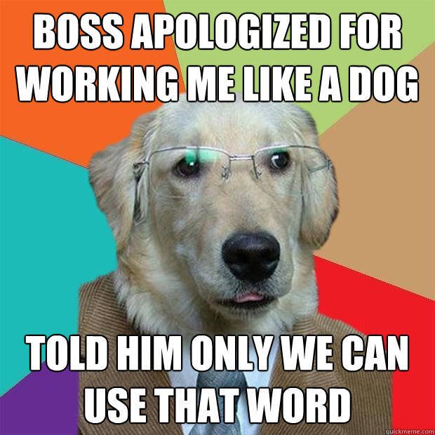 boss apologized for working me like a dog told him only we can use that word  Business Dog