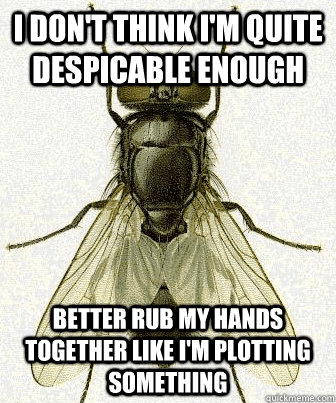 I don't think I'm quite despicable enough better rub my hands together like I'm plotting something  Fly logic