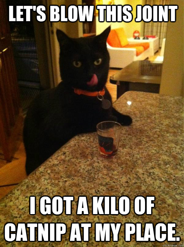 Let's blow this joint I got a kilo of catnip at my place.  Sleazy Cat