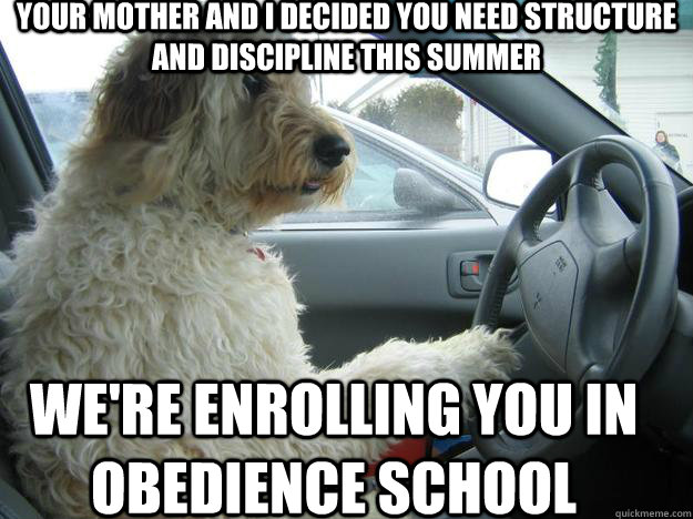 your mother and i decided you need structure and discipline this summer we're enrolling you in obedience school - your mother and i decided you need structure and discipline this summer we're enrolling you in obedience school  Stepfather Dog