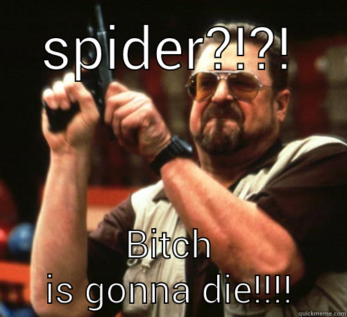what a pretty spider - SPIDER?!?! BITCH IS GONNA DIE!!!! Am I The Only One Around Here