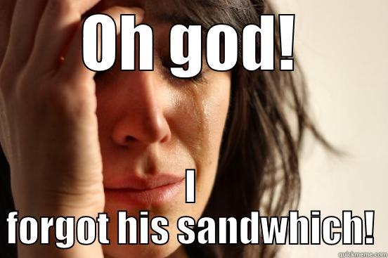 OH GOD! I FORGOT HIS SANDWHICH! First World Problems