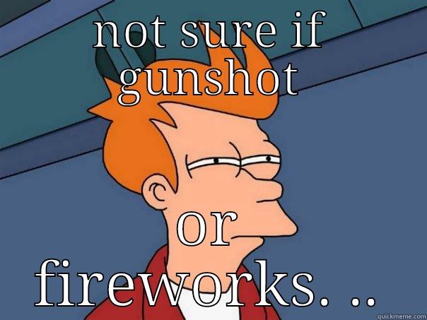 NOT SURE IF GUNSHOT OR FIREWORKS. .. Futurama Fry