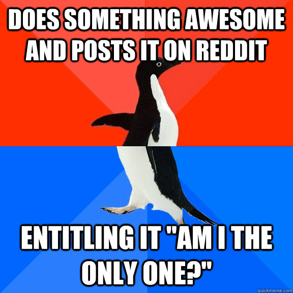 does something awesome and posts it on reddit entitling it 