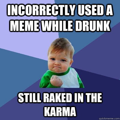 incorrectly used a meme while drunk still raked in the karma  Success Kid