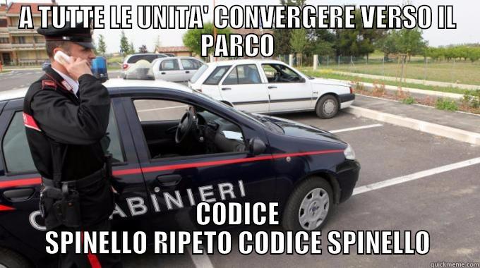 A TUTTE LE UNITA' CONVERGERE VERSO IL PARCO CODICE SPINELLO RIPETO CODICE SPINELLO Misc
