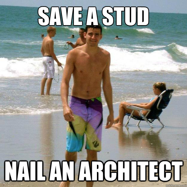 Save a stud Nail an architect  Nail an architect