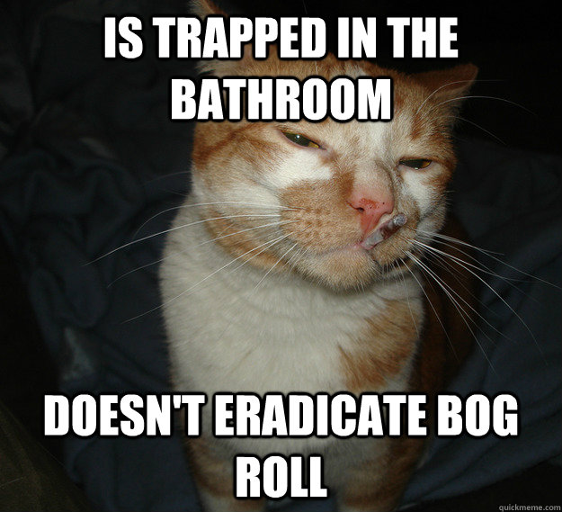 is trapped in the bathroom doesn't eradicate bog roll  Good Guy Cat