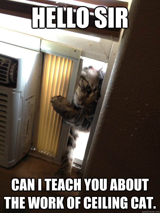 Hello sir Can I teach you about the work of ceiling cat.   
