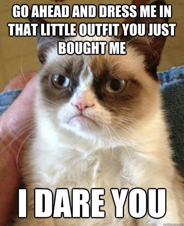 go ahead and dress me in that little outfit you just bought me i dare you - go ahead and dress me in that little outfit you just bought me i dare you  grumpycat