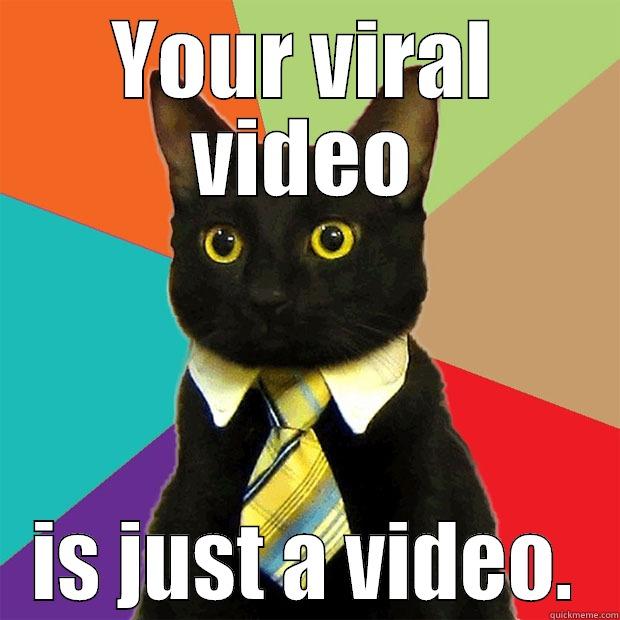 YOUR VIRAL VIDEO IS JUST A VIDEO. Business Cat