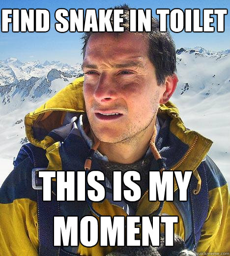 find snake in toilet this is my moment  Bear Grylls