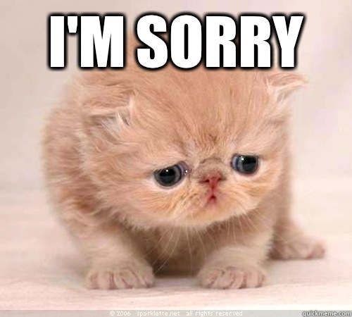 I'm sorry  - I'm sorry   Sorry Cat