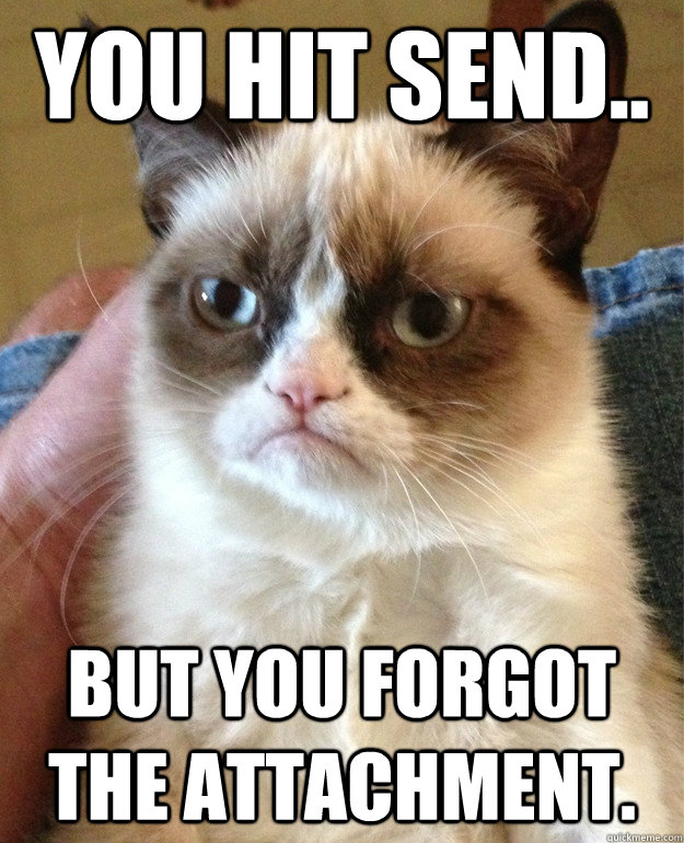 You hit send.. but you forgot the attachment. - You hit send.. but you forgot the attachment.  Grumpy Cat
