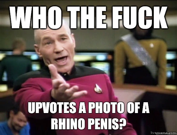 who the fuck Upvotes a photo of a 
rhino penis?  Annoyed Picard HD