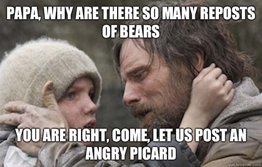 Papa, why are there so many reposts of bears You are right, come, let us post an angry Picard    Viggo Explains Reddit