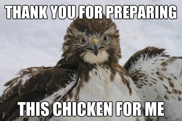 thank you for preparing this chicken for me - thank you for preparing this chicken for me  Misc