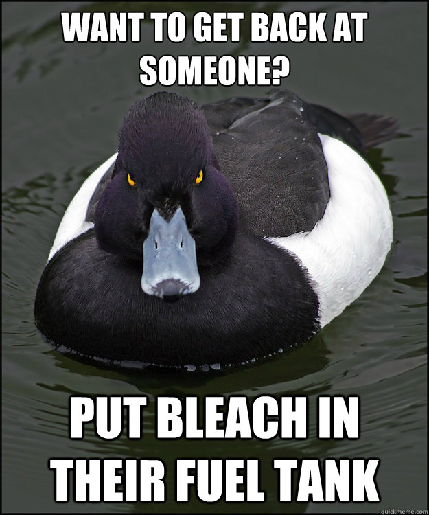 want to get back at someone? put bleach in their fuel tank - want to get back at someone? put bleach in their fuel tank  Revenge Duck