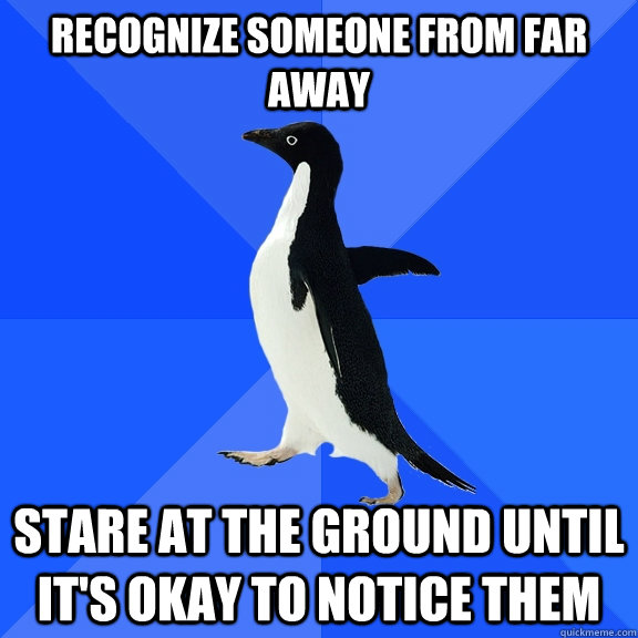 recognize someone from far away stare at the ground until it's okay to notice them  Socially Awkward Penguin
