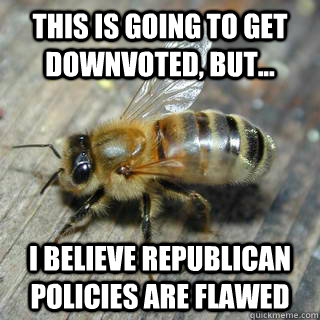 this is going to get downvoted, but... I believe republican policies are flawed   Hivemind bee