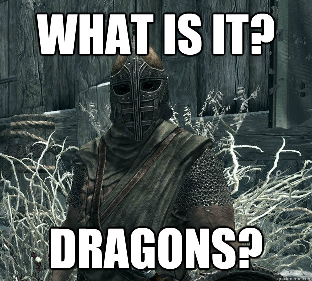 What is it? Dragons?  Skyrim Guard