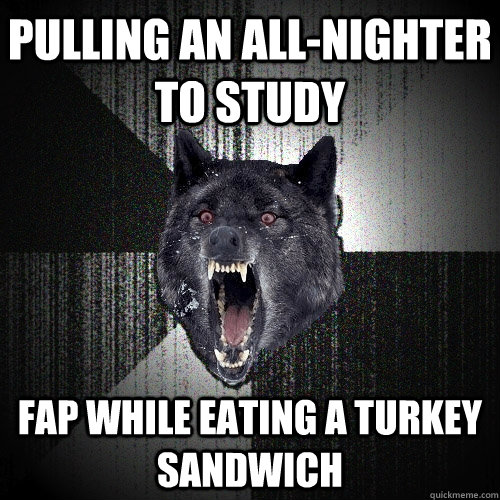 pulling an all-nighter to study fap while eating a turkey sandwich  Insanity Wolf