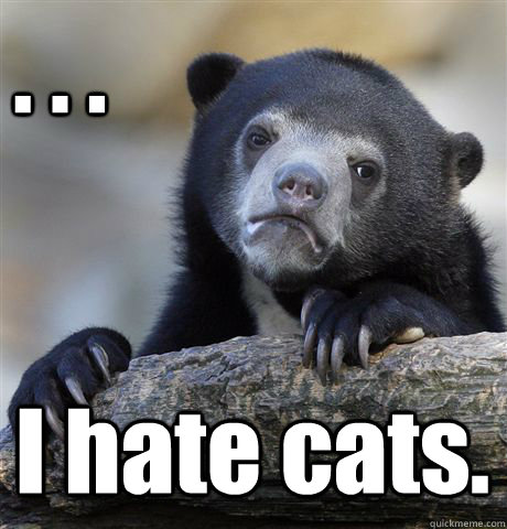 . . . I hate cats.  Confession Bear