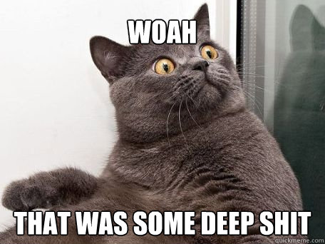 Woah That was some deep shit  conspiracy cat