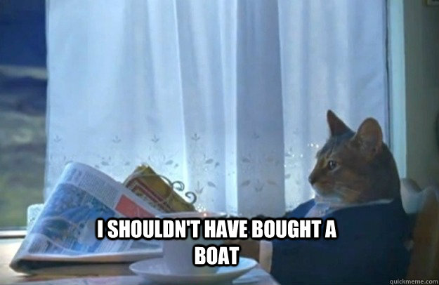 I shouldn't have bought a boat  Sophisticated Cat