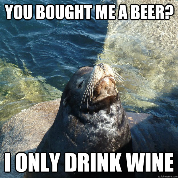 You Bought me a beer? I only drink wine  
