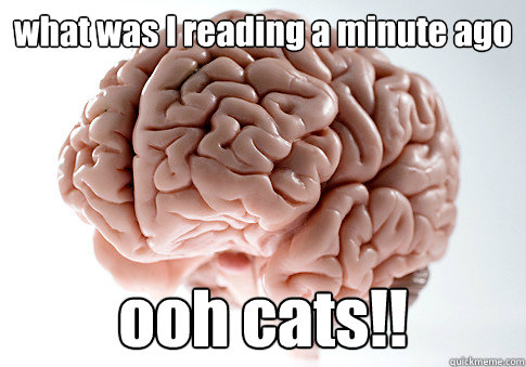what was I reading a minute ago ooh cats!!   Scumbag Brain