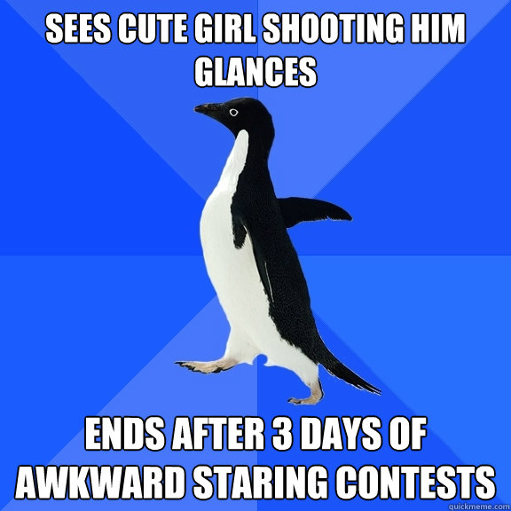 sees cute girl shooting him glances ends after 3 days of awkward staring contests - sees cute girl shooting him glances ends after 3 days of awkward staring contests  Socially Awkward Penguin