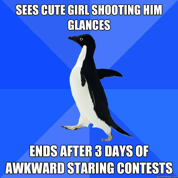 sees cute girl shooting him glances ends after 3 days of awkward staring contests  Socially Awkward Penguin
